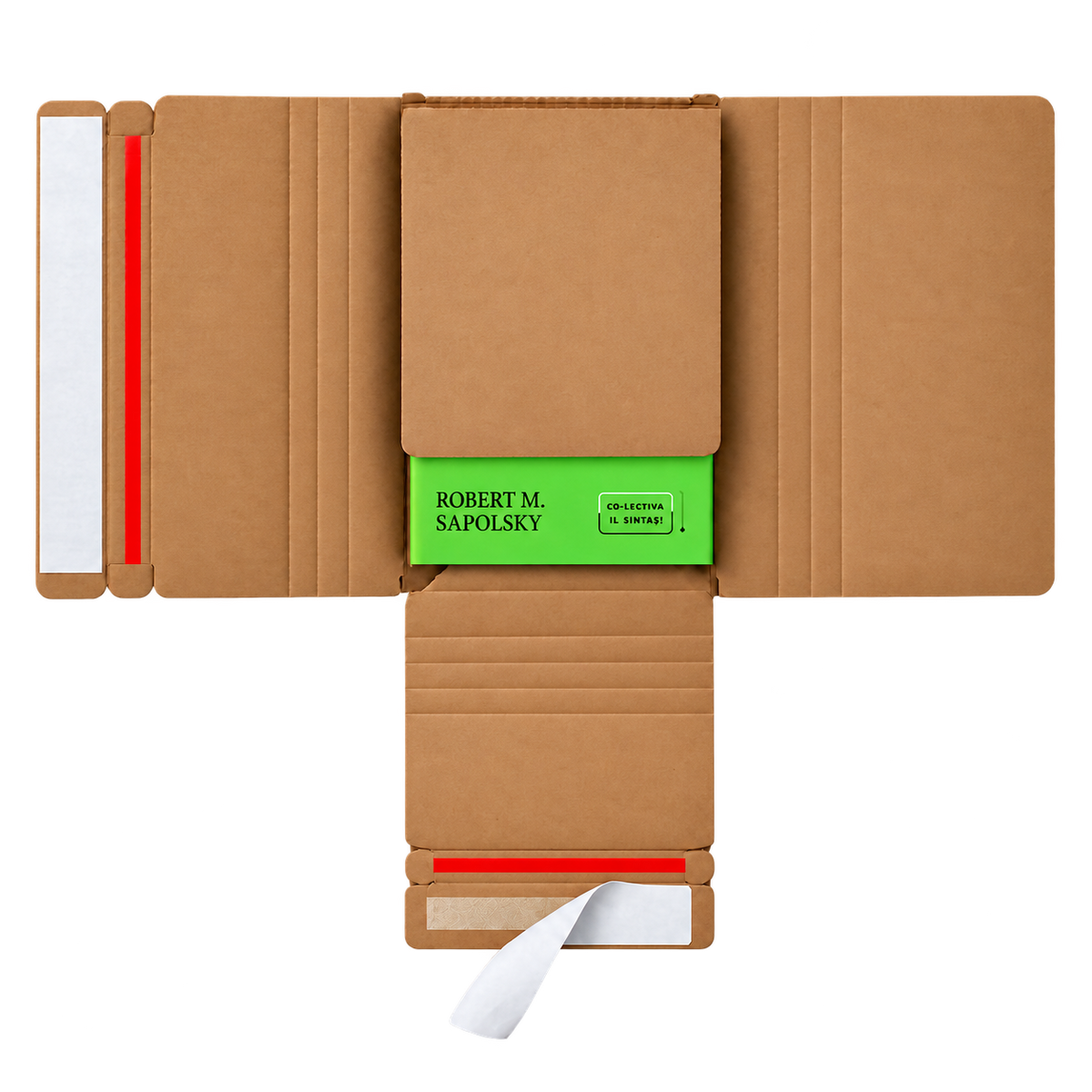 TwistBox - cutii carton pentru cărți