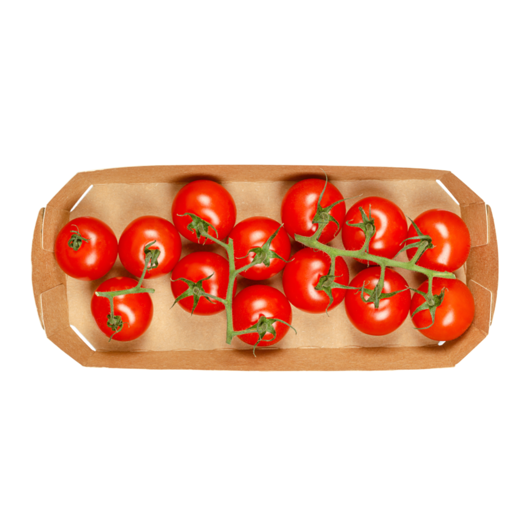 Tavițe din carton