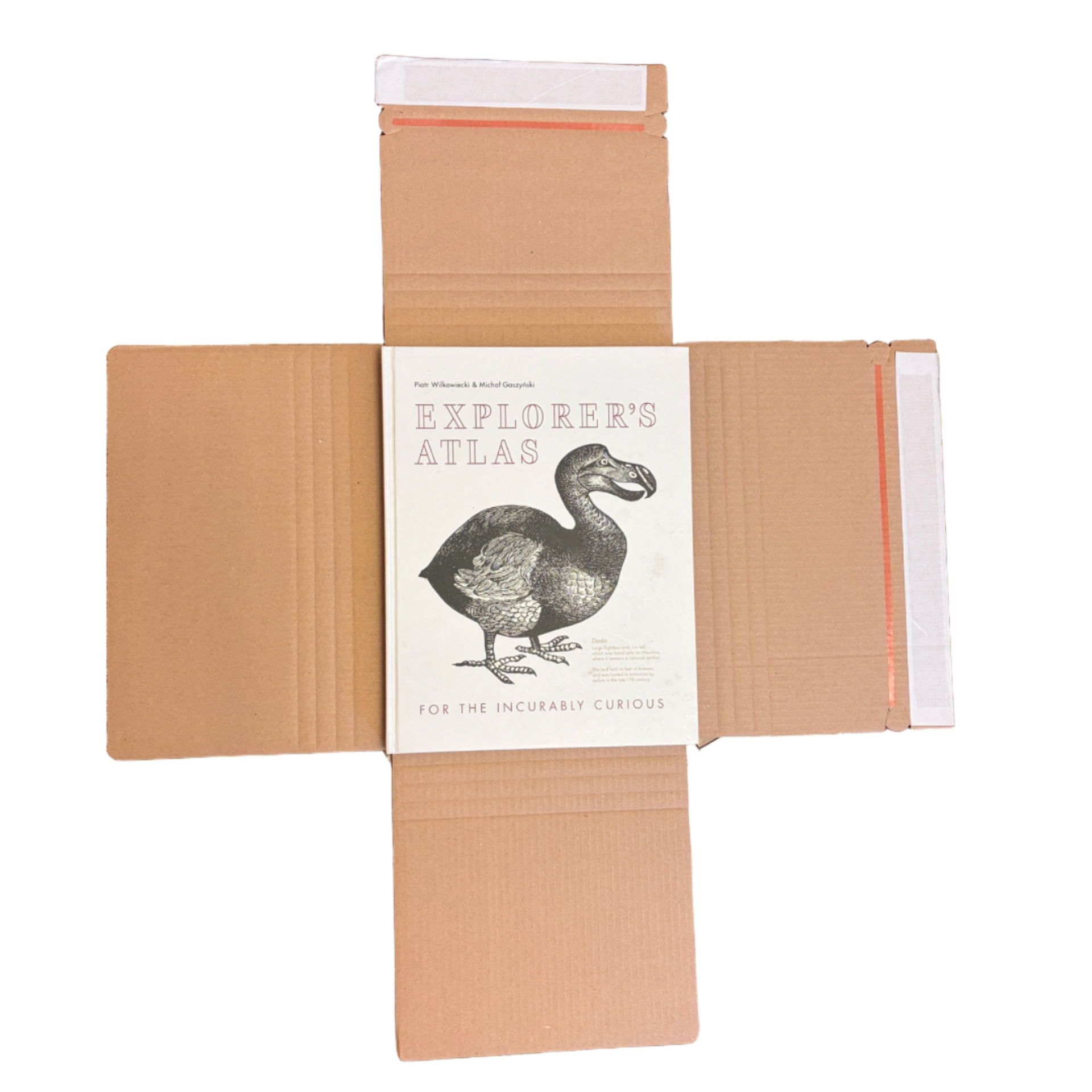 TwistBox - cutii carton pentru cărți